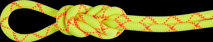 Actual product image Mammut 9.5 Alpine Core Protect Dry Rope (50 m)