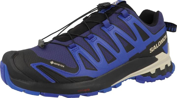 Produktbild Salomon XA PRO 3D V9 GTX - 60353 (42 2/3)