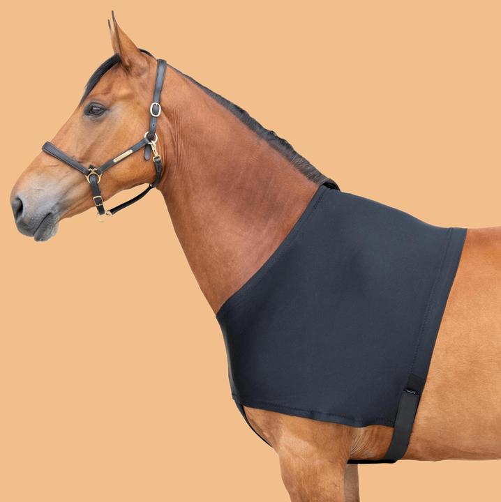 Actual product image Fouganza Protect
