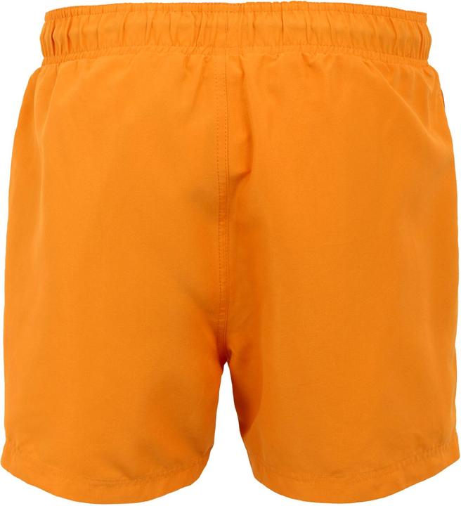 Actual product image Regatta Mens Mawson II Swim Shorts (3XL)