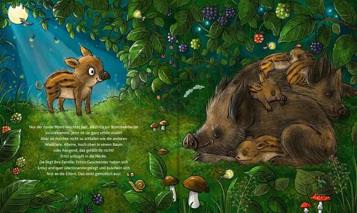 Produktbild Wie schläft der Wald? (Deutsch, Peter Wohlleben, Carina Wohlleben, Diana Kohne, 2023)