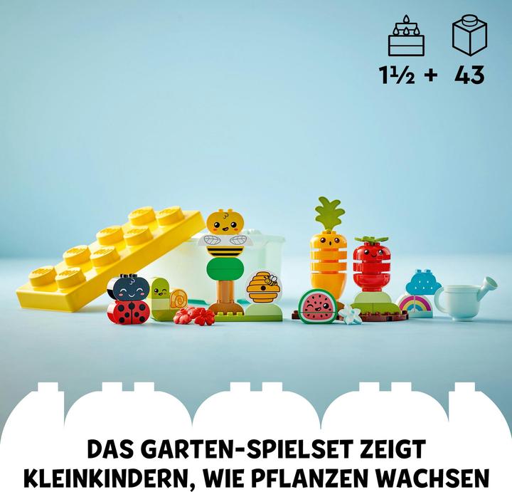 Actual product image LEGO Organic garden (10984)