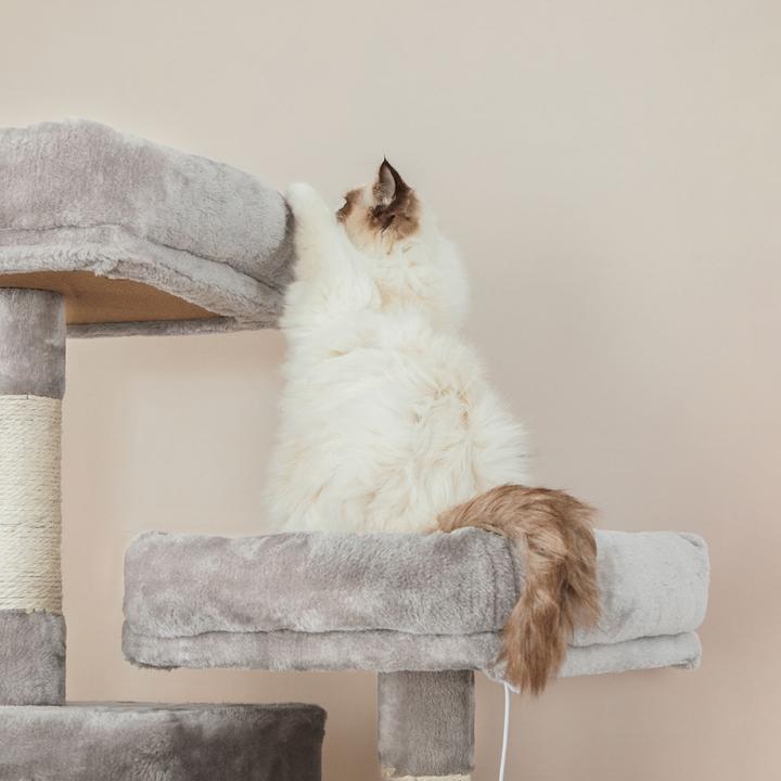 Image du produit Feandrea Cat Spa (206 cm, Gris)