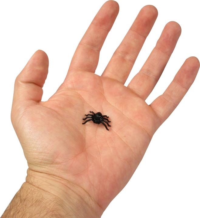 Image du produit PhoneLook Petite araignée d' en plastique (1 pièce)