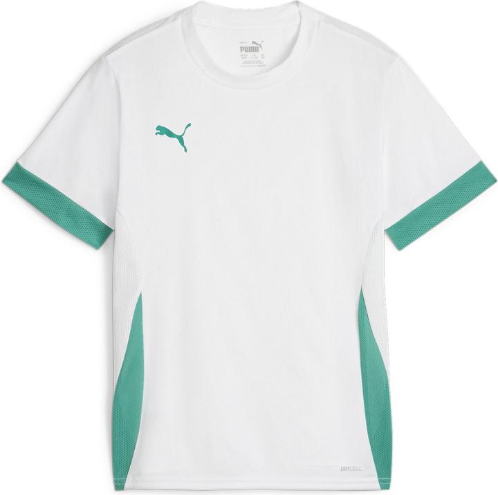 Actual product image Puma teamGOAL Matchday Jersey jr (128)