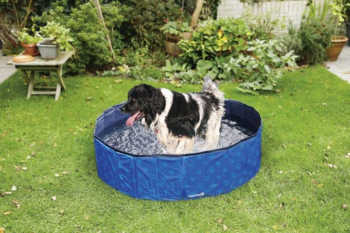 Produktbild Beeztees Hundepool (Hundepool)