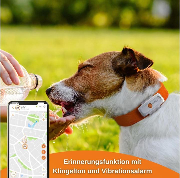 Actual product image Weenect GPS tracker (XS, Dog)