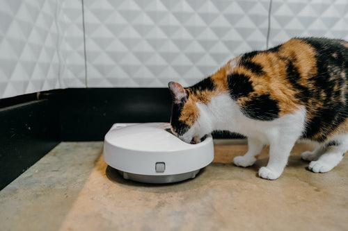 Produktbild Cat Mate Futterautomat C500