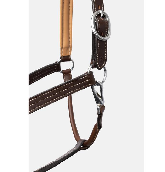 Image du produit Horze licol pour cheval sophistication leather