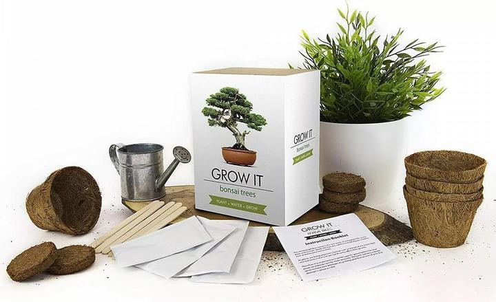 Actual product image Mags Grow it Bonsai (Plant seeds)