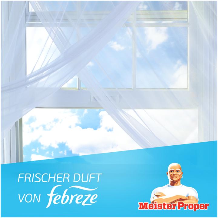 Actual product image Meister Proper Badreiniger Spray