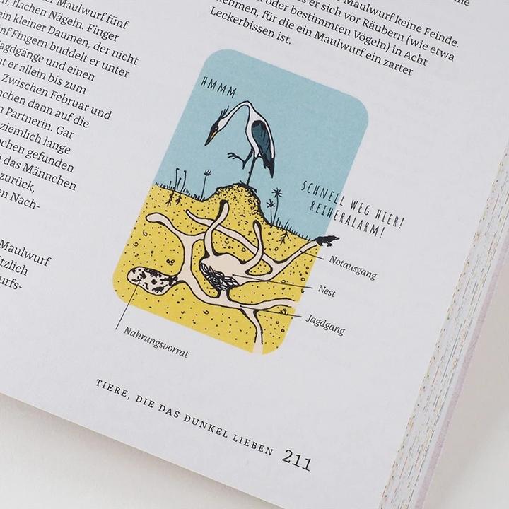 Immagine prodotto 321 superschlaue Dinge, die du über Tiere wissen musst (Tedesco, Mathilda Masters, 2019)