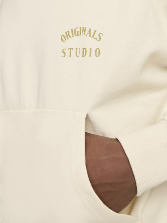 Immagine prodotto Jack & Jones Joraustin Font Sweat Hood Styd Aw24 (L)