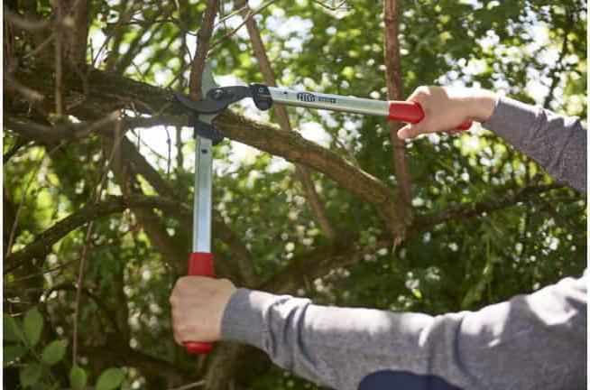 Image du produit Felco 211-40