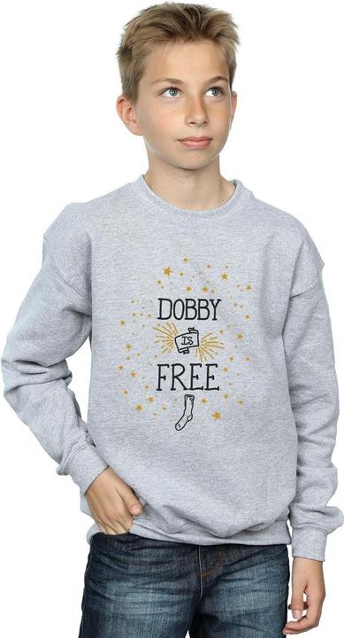 Produktbild Dobby Is Free Sweatshirt Jungen (152, 158)
