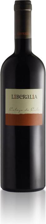 Immagine prodotto Liberalia Enológica Cabeza de Cuba Crianza Selección Toro DO (1 x 75 cl)
