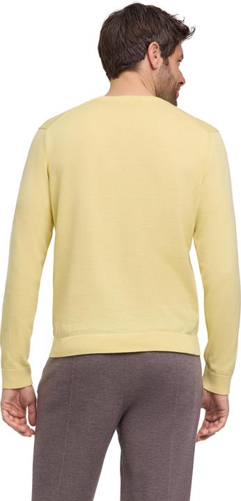 Immagine prodotto Falke FAV Cotton V-Neck m (M)