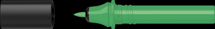 Chlorophyll