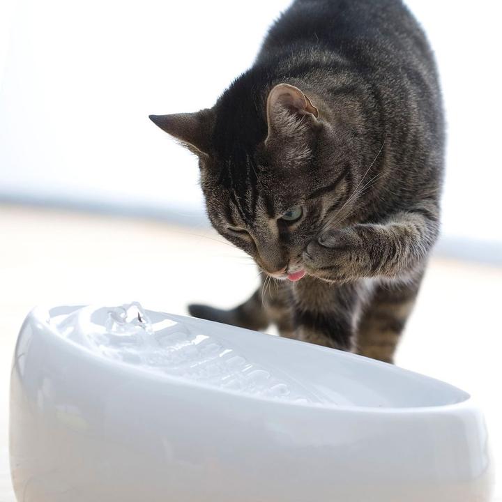 Produktbild Lucky Kitty Katzenbrunnen (1.50 l)