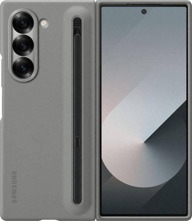 Samsung Cover (Samsung Galaxy Z Fold6)