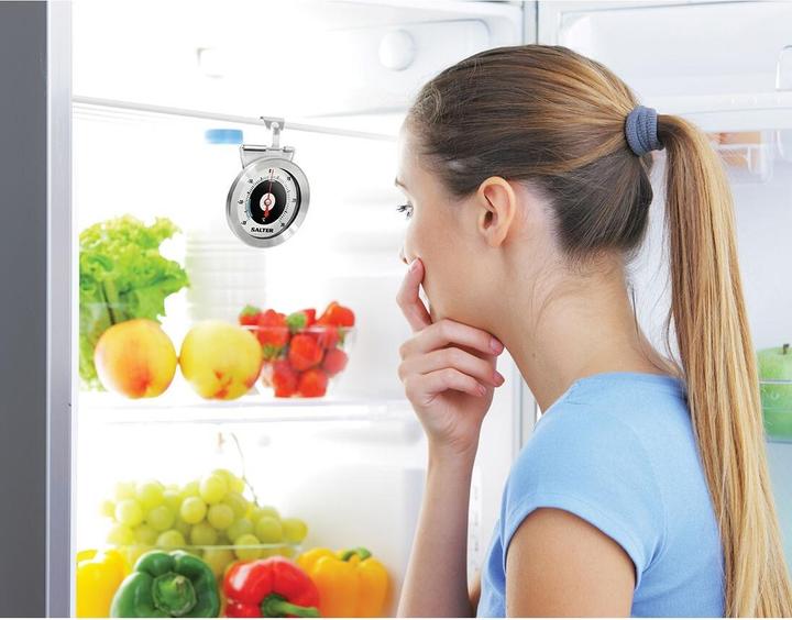 Actual product image Salter 517 SSCR Analogue Fridge / Freezer Thermometer