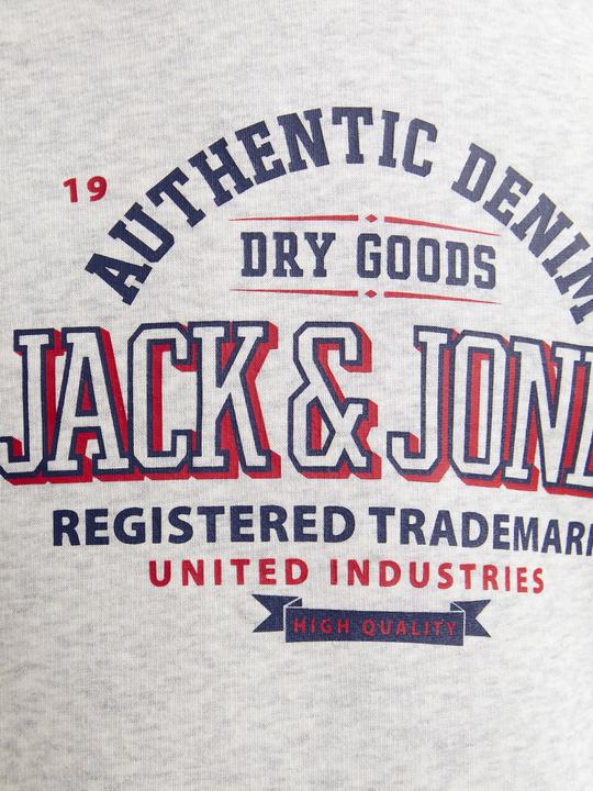 Produktbild Jack & Jones JJELOGO SWEAT HOOD 2 COL 24/25 NOOS JNR (152)