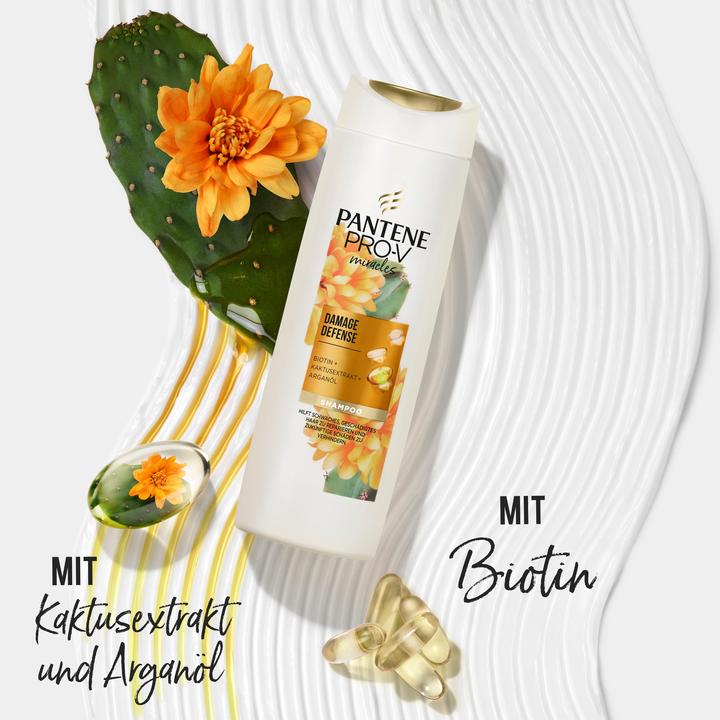 Produktbild Pantene Pro-V Miracles Damage Defense (250 ml, Flüssiges Shampoo)