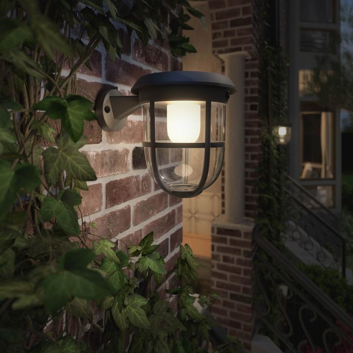 Image du produit Philips Radii (250 lm, IP44)
