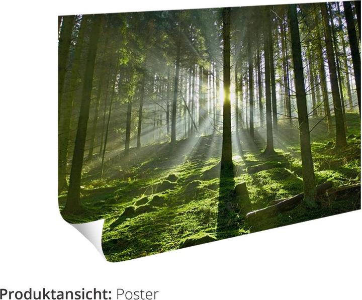 Image du produit Artland Bouquetin avec grandes cornes U3VG (40 x 60 cm)