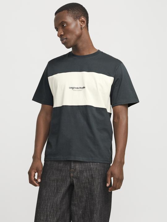 Produktbild Jack & Jones Jorvesterbro Block Tee Ss Crew Styd Aw24 (XXL)