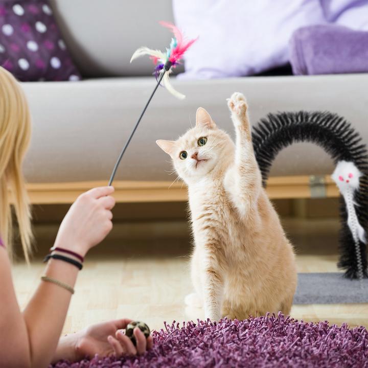Produktbild Relaxdays Kratzbogen (Katze)