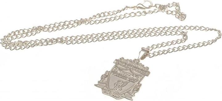 Actual product image Score Draw Necklace With Pendant Silver Plated (100% metal)
