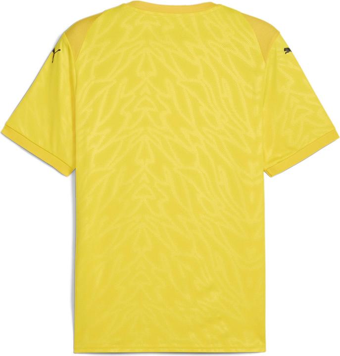 Image du produit Puma teamCUP Jersey (L)