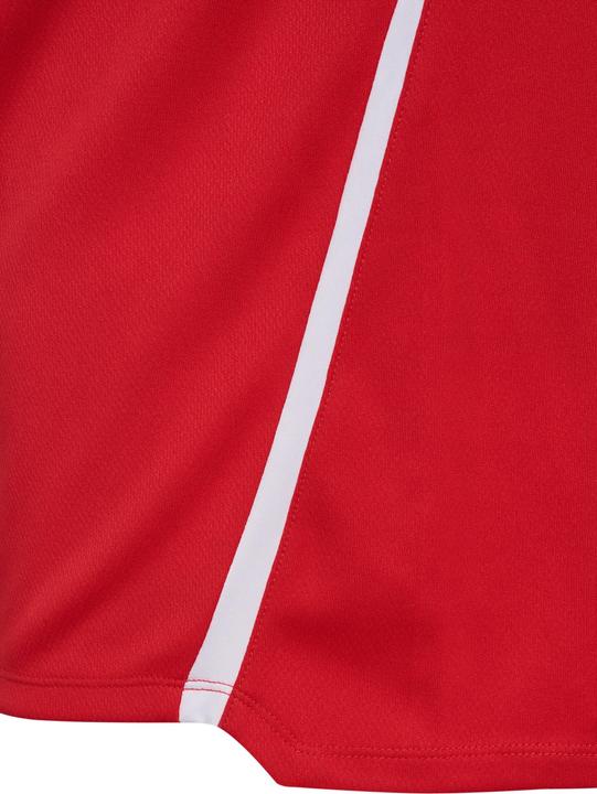 Image du produit hummel hmlLEAD 2.0 HALF ZIP (L)