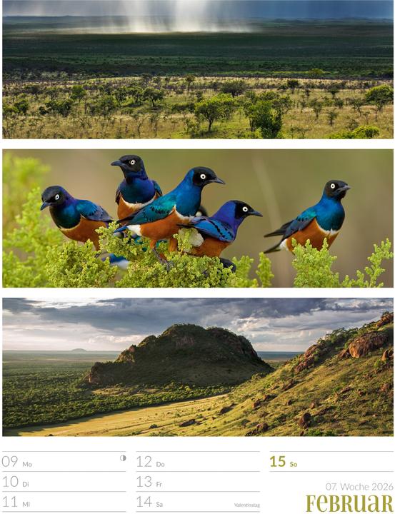 Actual product image Farben der Natur - Wochenplaner Kalender 2026 (25 x 33 cm, Hardcover, German)