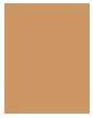 Actual product image Clarins BB Skin - Detox Fluid Dark 03 (03 Dark)