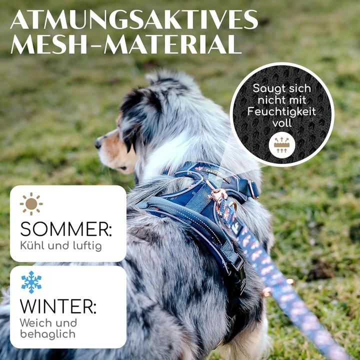 Immagine prodotto Freudentier Atmungsaktives Hundegeschirr mit Griff & Polsterung (M, Cane)