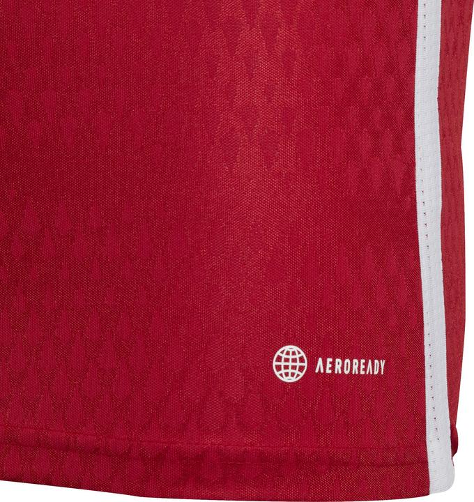 Image du produit adidas Tiro 23 Club Maillot Enfants (152)