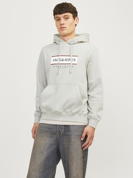 Actual product image Jack & Jones Jorfrederiksberg Box Sweat Hood Sn (XS)