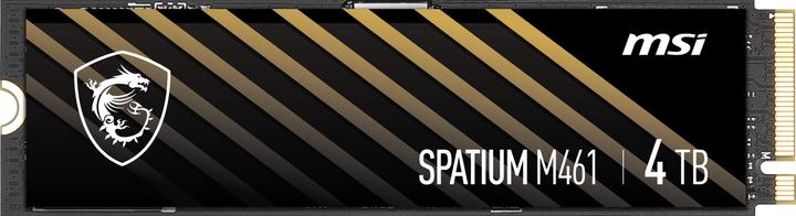 Actual product image MSI Spatium M461 (4000 GB, M.2 2280)