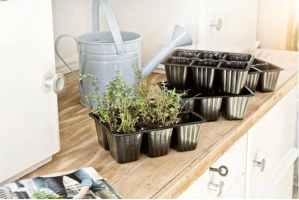 Image du produit Windhager L'élevage d'assiettes en pot