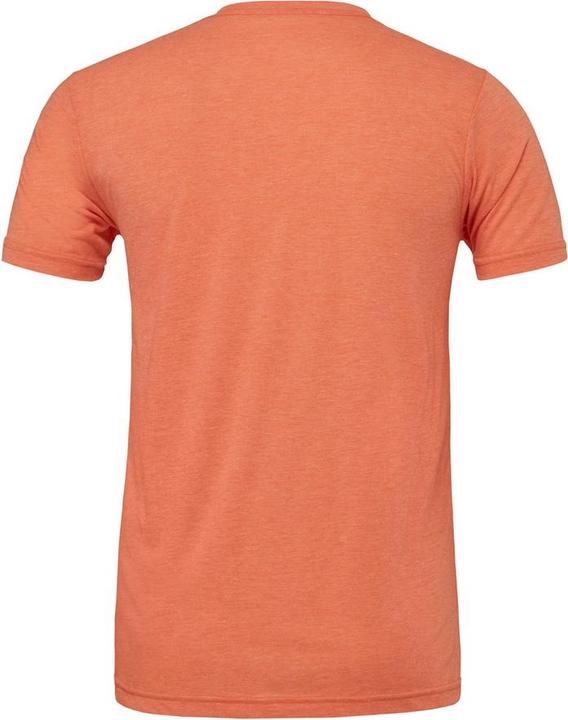 Actual product image Bella Canvas Adults Unisex Crew Neck T-Shirt (XS)