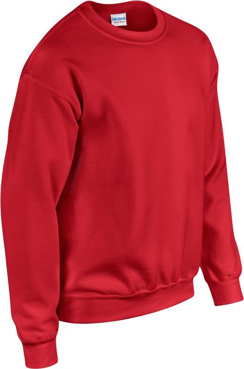 Image du produit Gildan - Sweat - Homme (5XL)