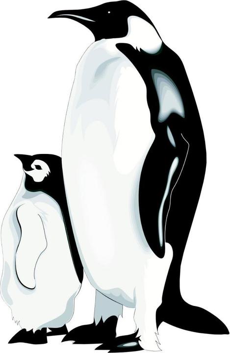 Produktbild Trenddeko Pinguine (40 x 60 cm)