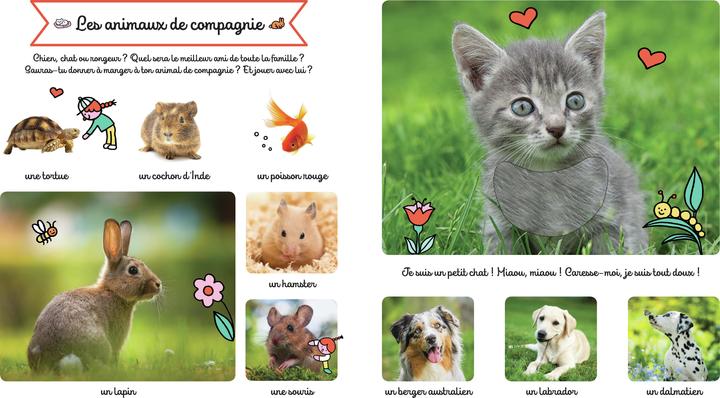 Immagine prodotto Larousse jeunesse Le grand imagier des animaux à toucher (Francese, Collettività, 2022)