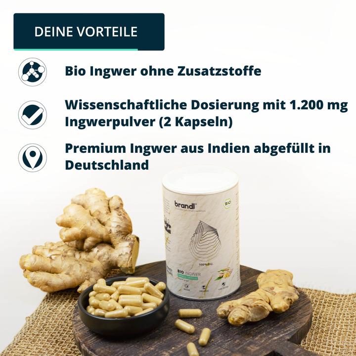 Immagine prodotto Brandl Bio Ingwer (Zenzero) (1 Pezzo/i, Pillole, 130 g)
