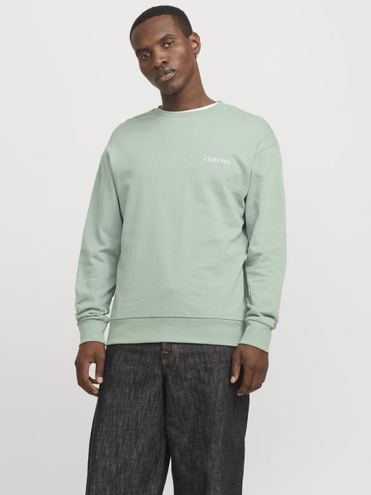 Image du produit Jack & Jones Jjebradley Graphic Sweat Crew Noos (S)
