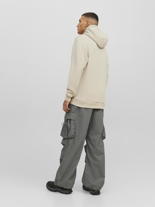 Image du produit Jack & Jones Sweat à capuche (S)