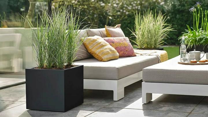 Immagine prodotto Revox Botanico 50 (1 coppia, 120 W)