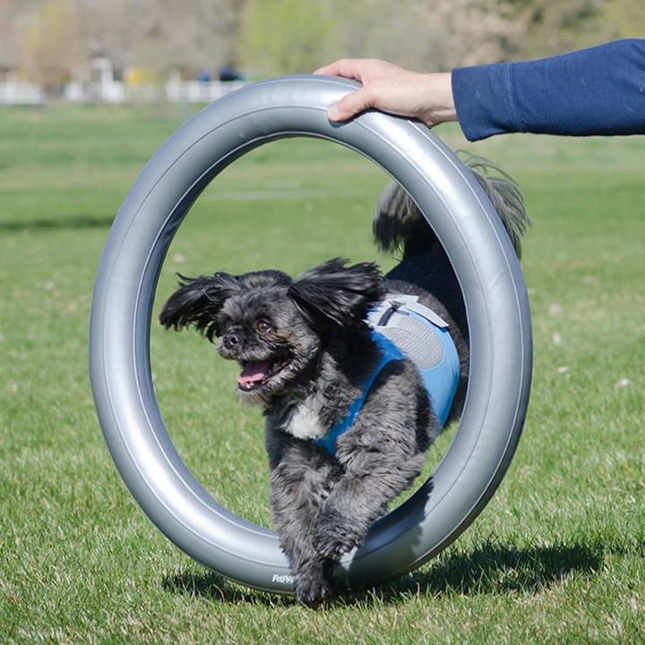 Produktbild FitPaws Donut Holder (Agility)